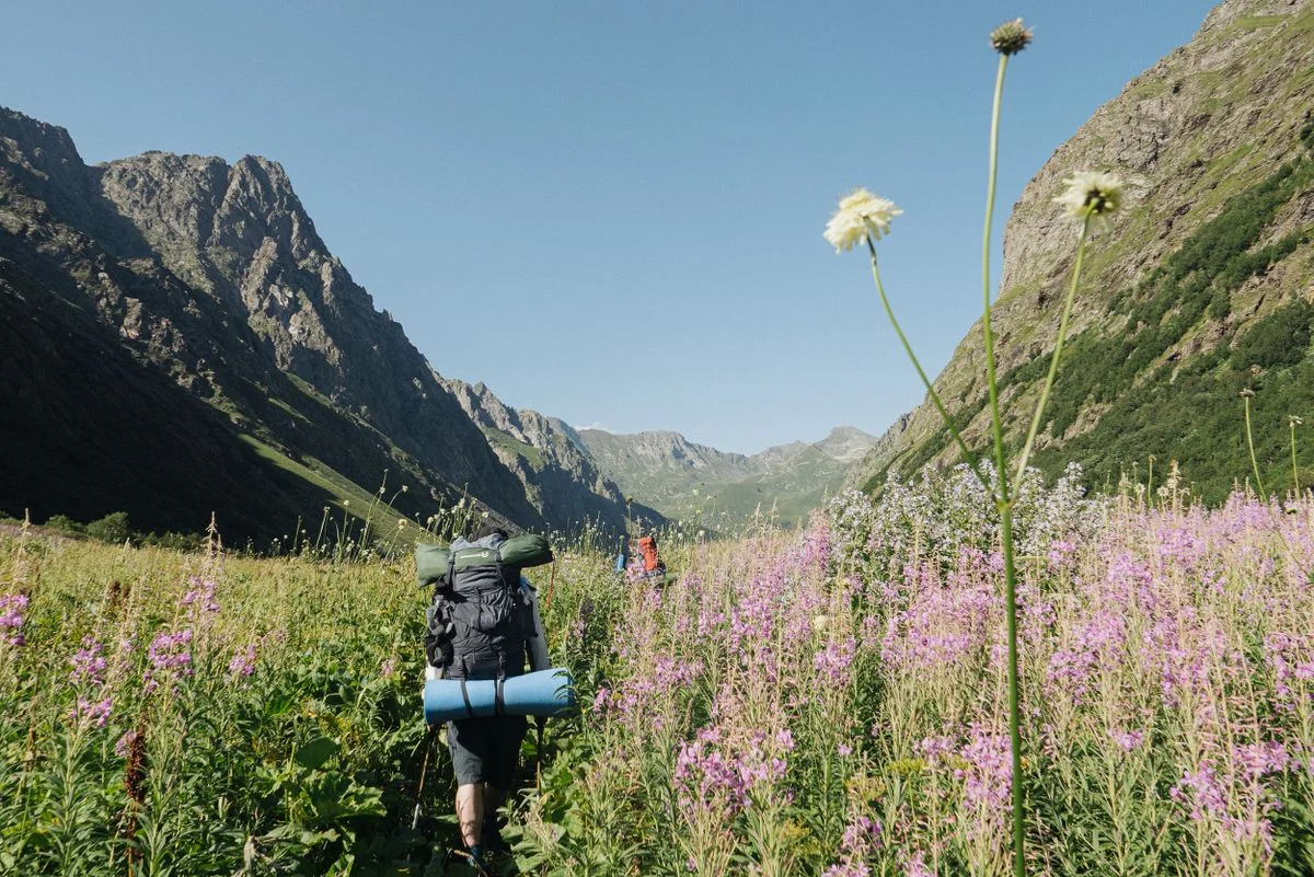 Backpackers hike through a flower-filled mountain valley under a clear summer sky.