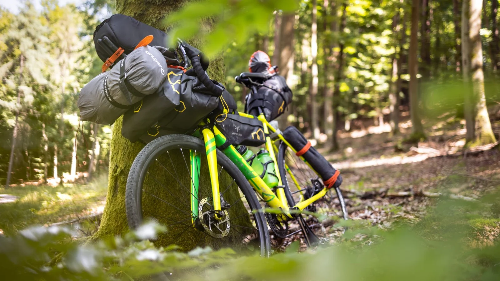 Green bikepacking bicycle with gear resting against a tree in a lush forest.