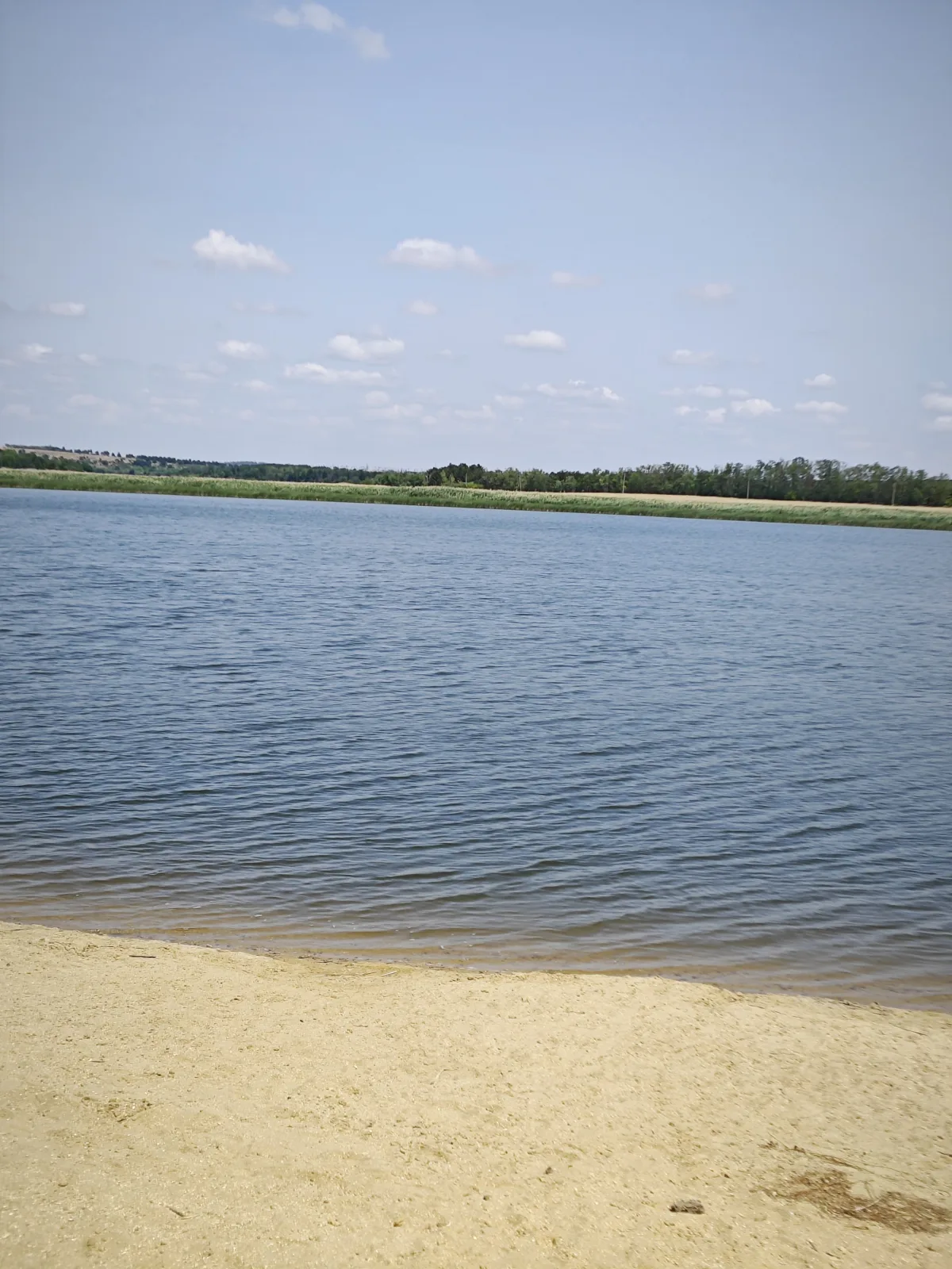 Наконец-то Дарьевские пруды — песчаный берег и чистая вода