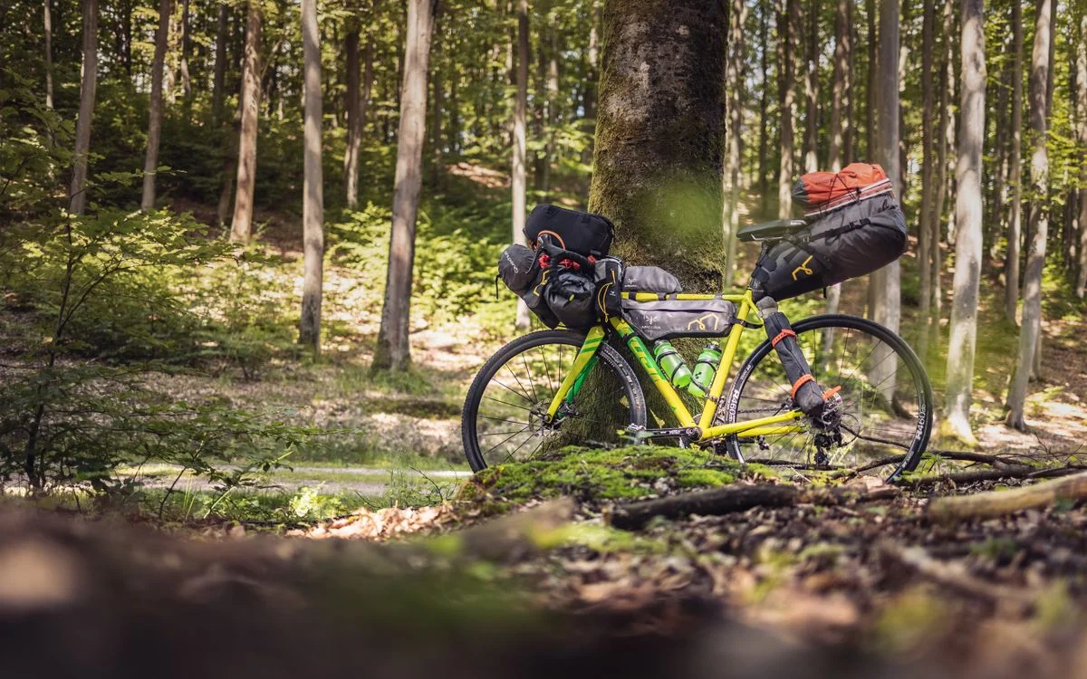 A loaded touring bike parked in a lush Polish forest during summer, ready for an adventure.