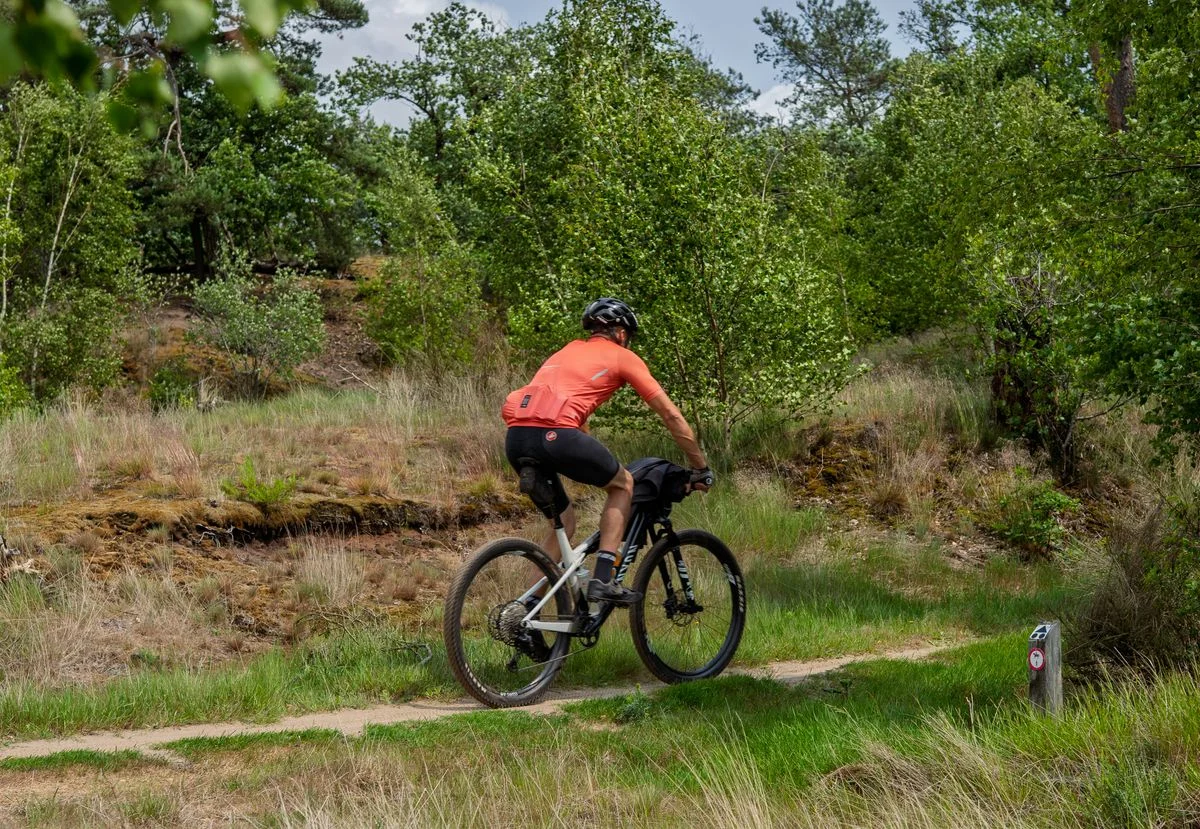Adult cyclist rides mountain bike on a forest trail, enjoying outdoor nature adventure.